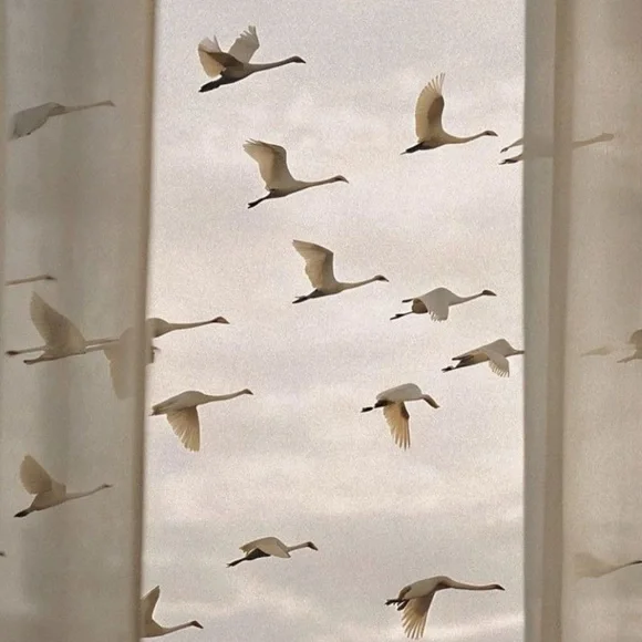 Mood - Picture 8 of 13